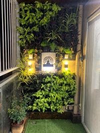 Landscape Design & Installation