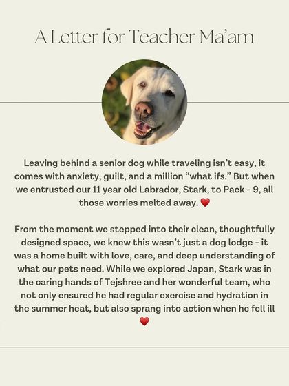 Leaving a senior dog is never easy. We are so honored that Stark's family entrusted us with their 11-year-old Labrador while they traveled, and that we could provide attentive care when he fell ill.