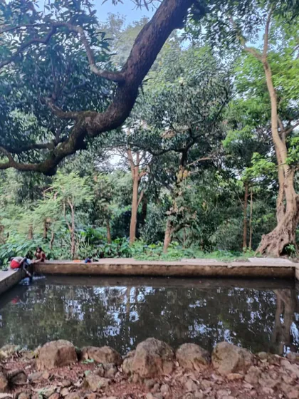 A natural pool at one of our eco-lodges near Kanha. It is the perfect place to cool off and relax after a day of exploring the forest trails on your cycle.
