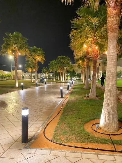We believe a garden should be beautiful day and night. Here, we used strategic outdoor lighting to highlight the row of mature palm trees and the paved walkway, creating an inviting and luxurious atmosphere after sunset. Proper garden lighting adds security and extends the time you can enjoy your outdoor space.