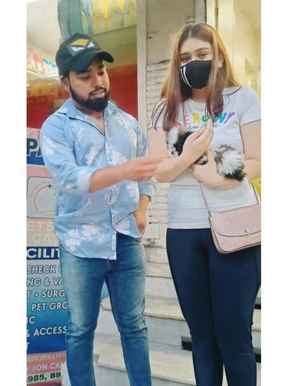 The customer's smile is the key to my success. Here I am giving some final tips to a new owner about her adorable Shih Tzu puppy.