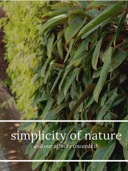 Outdoor Living Walls & Structures photo 7