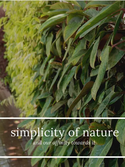 We believe in the simple, profound beauty of nature. This close-up of an outdoor vertical garden highlights the rich textures and forms of the plants, including Ferns, Syngonium, and Rhoeo, that make up our living installations.