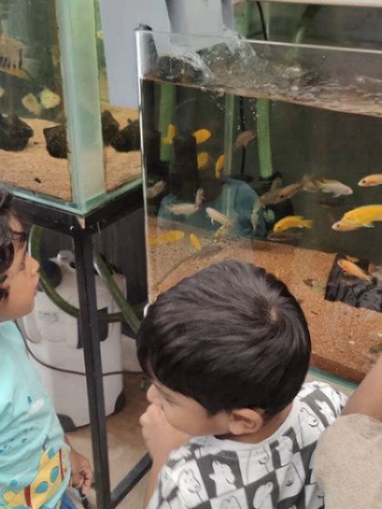A gallery from our day at the aquarium. The children's faces light up with wonder as they observe the magic of underwater life, from colorful fish to starfish.