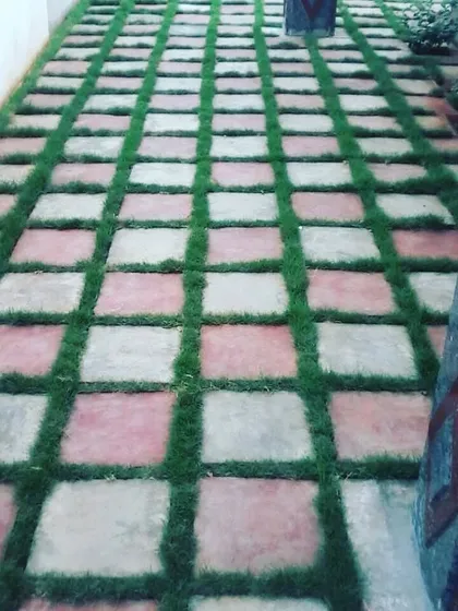 This checkerboard pattern of stone and grass is a classic garden design. I do both Korean and Mexican grass binding work to ensure the lawn is healthy and grows neatly between the stones.