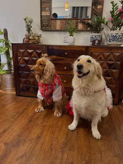 Posto and Paro looking regal in their Durga Puja outfits.