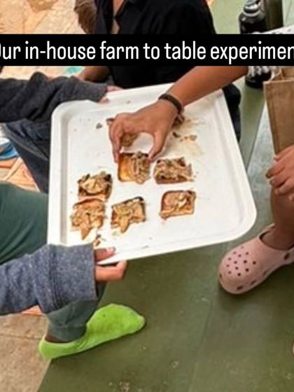 The Earth School - Montessori Primary & Elementary Program Hands-On Science & Nature Study photo 33