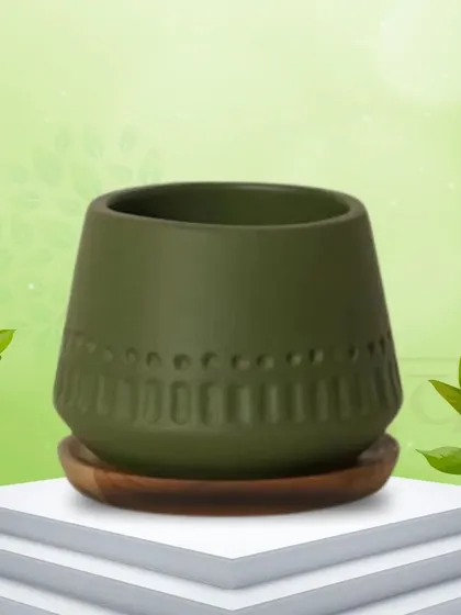 This mini terracotta pot in a mehndi green color comes with a wooden plate. The embossed pattern and minimalist design make it a charming and functional piece for small succulents or herbs.