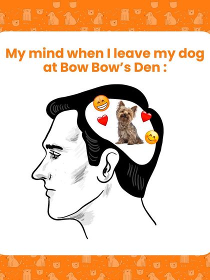 This graphic perfectly captures the peace of mind we want to give every pet parent. When you leave your dog with us, you can relax knowing they are happy, safe, and loved. We even send photo updates to prove it.