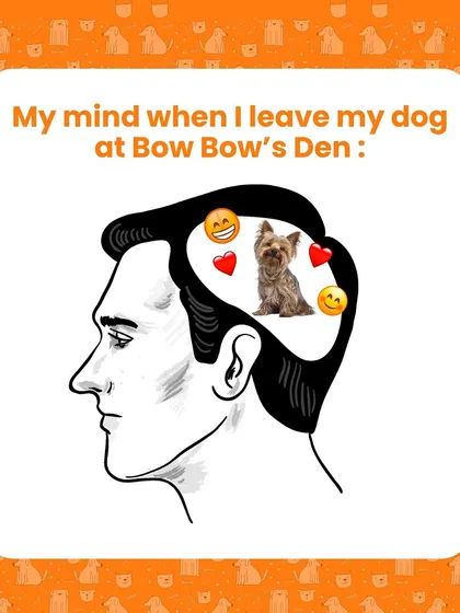 This graphic perfectly captures the peace of mind we want to give every pet parent. When you leave your dog with us, you can relax knowing they are happy, safe, and loved. We even send photo updates to prove it.