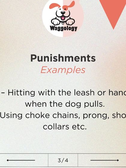 To clarify what I avoid, this graphic gives examples of punishment-based methods, such as using force or tools like choke chains and shock collars. My training is always fear-free and focuses on building your dog up, not breaking them down.