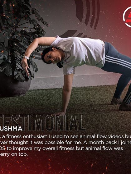 Academy of Strength - Skill-Based Fitness Workshops Master Your Movement: Animal Flow photo 35