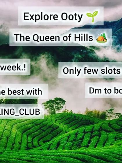 A promotional image for a trip to Ooty, the "Queen of Hills," set against a backdrop of lush tea plantations.