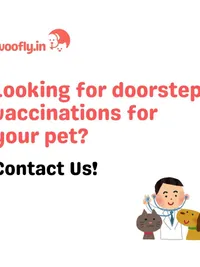 Home Veterinary Services