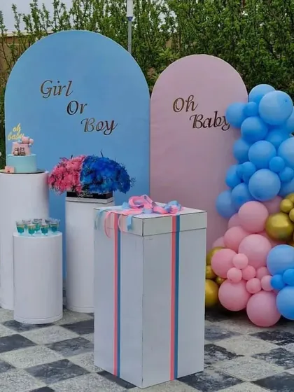 A modern and chic gender reveal setup for an outdoor party. The decoration uses two arched backdrops for "Girl or Boy" and "Oh Baby," with balloon clusters and pedestals for the cake and reveal elements.