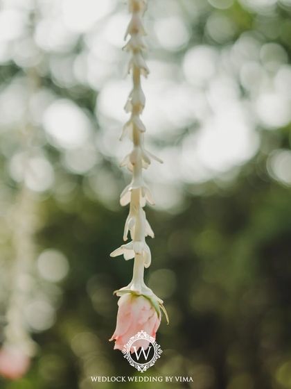 Wedlock Weddings - Full-Service Wedding Planning & Design Elegant Wedding Mandaps photo 55