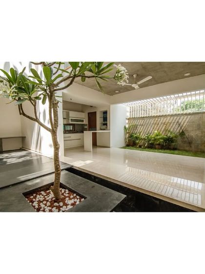 The open-plan kitchen and dining area in the Cube Square house looks out onto a small garden. The design ensures that even functional spaces are connected to greenery and natural light.