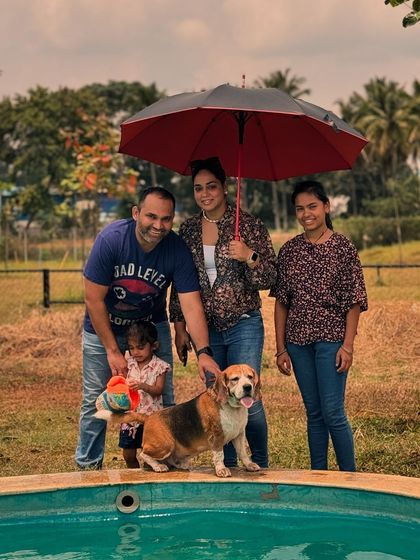 The Pawsome Camp - Dog Park & Pool Splash & Play: Our Dog Pool photo 8