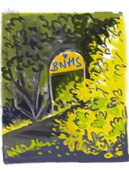 A digital painting of the entrance to the BNHS trail, surrounded by dense, leafy greenery.