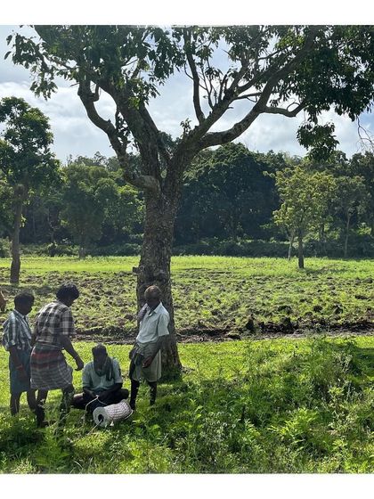 Honey harvesters practicing their new skills under a tree. Their eagerness to learn and adapt was inspiring to witness.