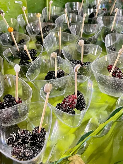 Fresh mulberries served in individual cups. This is just one of the many exotic fruit options I provide to add a unique and healthy touch to the menu.