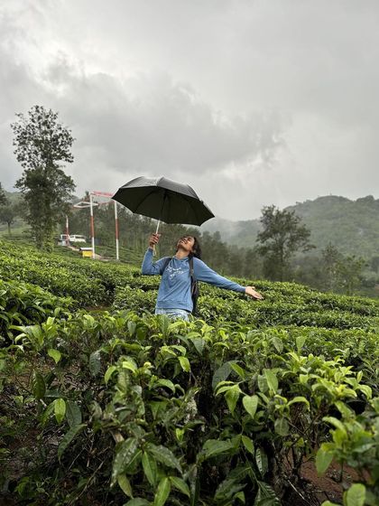 A trekker with an umbrella in a Wayanad tea estate.