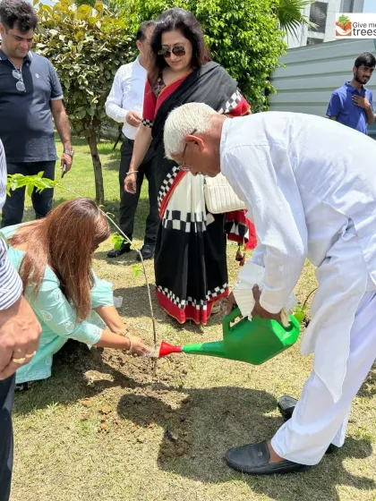 Volunteers from the Rotary Club greening an industrial area in Greater Noida. Planting trees in such zones is crucial to mitigate pollution and reduce the urban heat island effect for workers.