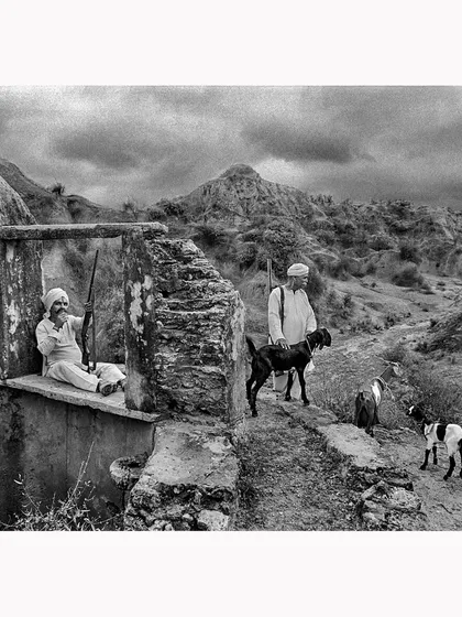A scene from rural Rajasthan, showing goatherds in a rugged, ancient landscape. The high-contrast black and white treatment brings out the texture of the stone and the stark reality of their daily life. This is a documentary print that tells a story of resilience and tradition.