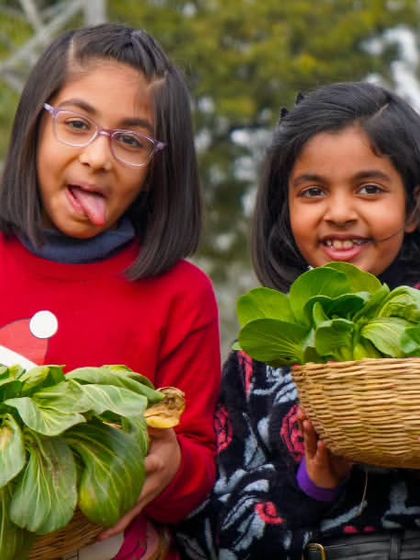 Farmus - Farm Day Out Experience The Joy of the Harvest photo 56