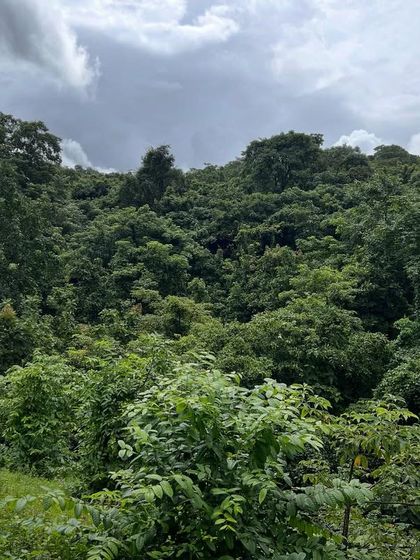 The Design Process: From Concept to Craft photo 41