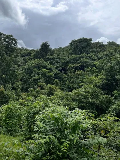 The raw, untamed beauty of a new site in Maharashtra. Before we put pen to paper, we spend time walking the land, listening to its stories, and letting the topography and vegetation guide our architectural response.