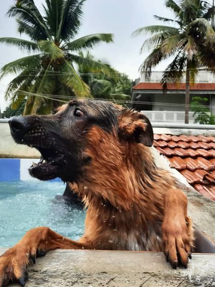The face you make when the water is colder than you expected. Keeping training and new experiences lighthearted and fun is essential.