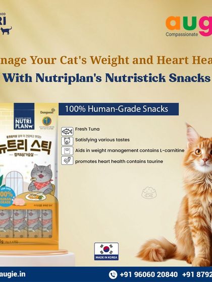 Augie Pets - Pet Supplies For Our Feline Friends: Premium Cat Nutrition photo 40