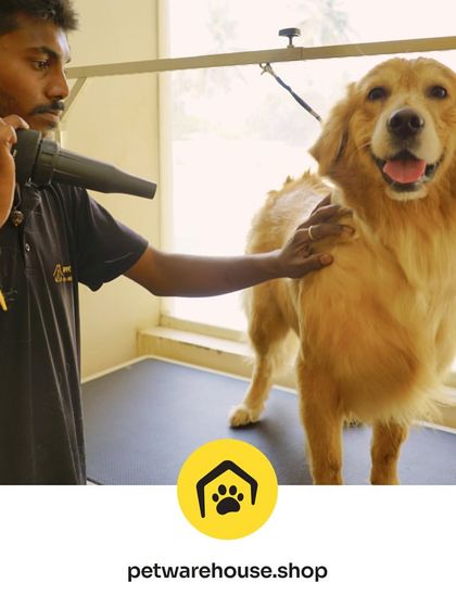 Pet Warehouse - Pet Grooming Services Happy Tails Gallery photo 11