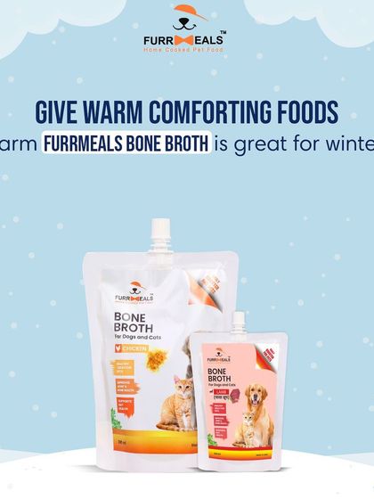 One of my top winter pet care tips is to provide warm, comforting foods. A bowl of my warm bone broth is perfect for chilly days, offering both comfort and a wealth of nutrients.