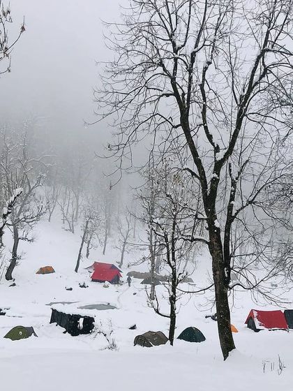 A wider view of a campsite in a snowy, misty forest. The bare trees and scattered tents create a stark, beautiful, and atmospheric scene.