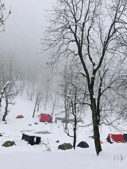 A wider view of a campsite in a snowy, misty forest. The bare trees and scattered tents create a stark, beautiful, and atmospheric scene.
