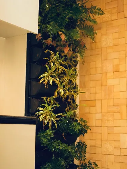 This vertical garden installation adds a strip of vibrant life against a warm, tiled wall, demonstrating how even a small installation can make a big impact.