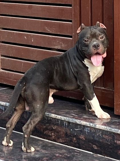 Sultan posing by the door, showing off his lean and muscular physique.