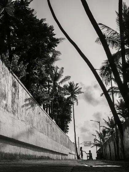 A moment of proposal, captured with a dramatic low angle and framed by towering palms. This black and white composition emphasizes the emotion and significance of the gesture in a cinematic style.