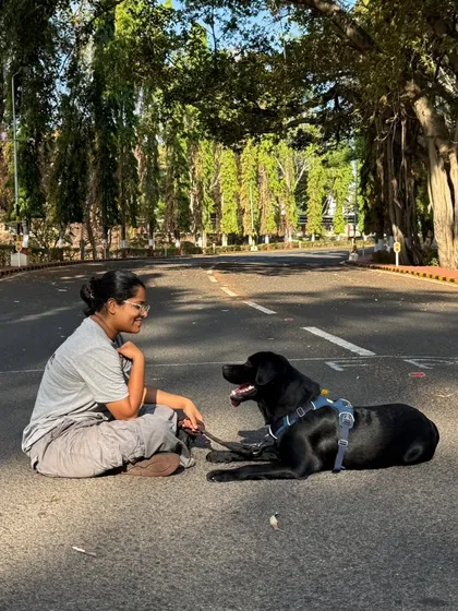 Sometimes the most important training happens in the quiet moments between commands. Sitting here with this beautiful Labrador, just sharing a calm space, reinforces the trust and connection that makes all other training possible. This is what it's all about.