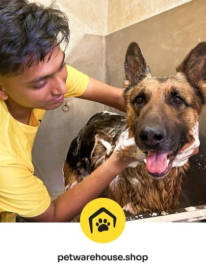 Pet Warehouse - Pet Grooming Services Our Grooming Spa in Action photo 8