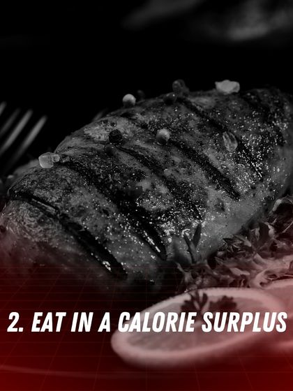 Your Fitness Blueprint photo 3