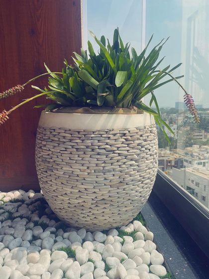 My white pebble planter looks stunning in this high-rise balcony, creating a serene zen garden feel with a city view.