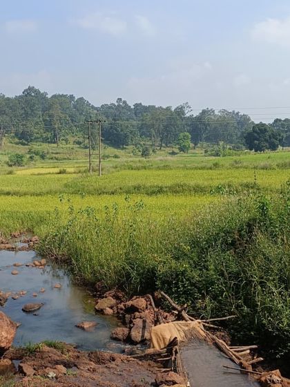 Into the Wild: Cycling in Kanha National Park photo 12
