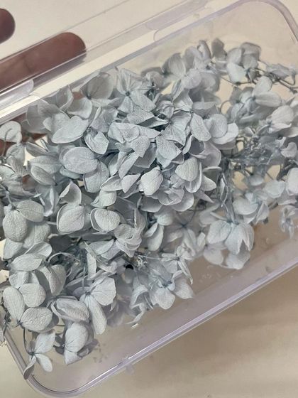 These powder-blue hydrangea petals are perfect for creating a unique and dreamy 'something blue' for your wedding day hair.