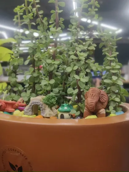 A miniature garden scene created in a single pot. This Jade plant arrangement includes tiny figurines like an elephant and a mushroom, showing how you can get creative and have fun with your indoor plants.