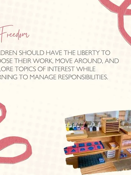 An infographic explaining the principle of Freedom in a Montessori environment, where children can choose their work and move freely.