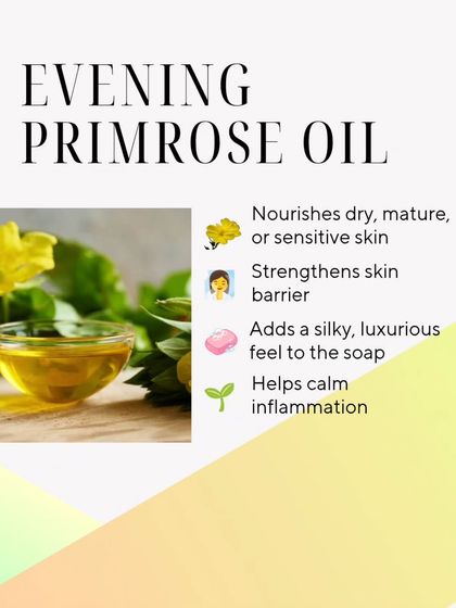 Evening Primrose Oil is wonderful for dry, mature, or sensitive skin. It helps strengthen the skin barrier, calms inflammation, and adds a silky, luxurious feel to the soap.