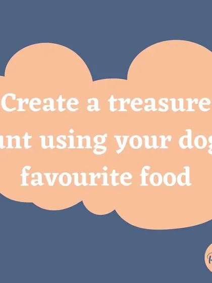 A treasure hunt using your dog's food is a fantastic nose work game that provides excellent mental stimulation.
